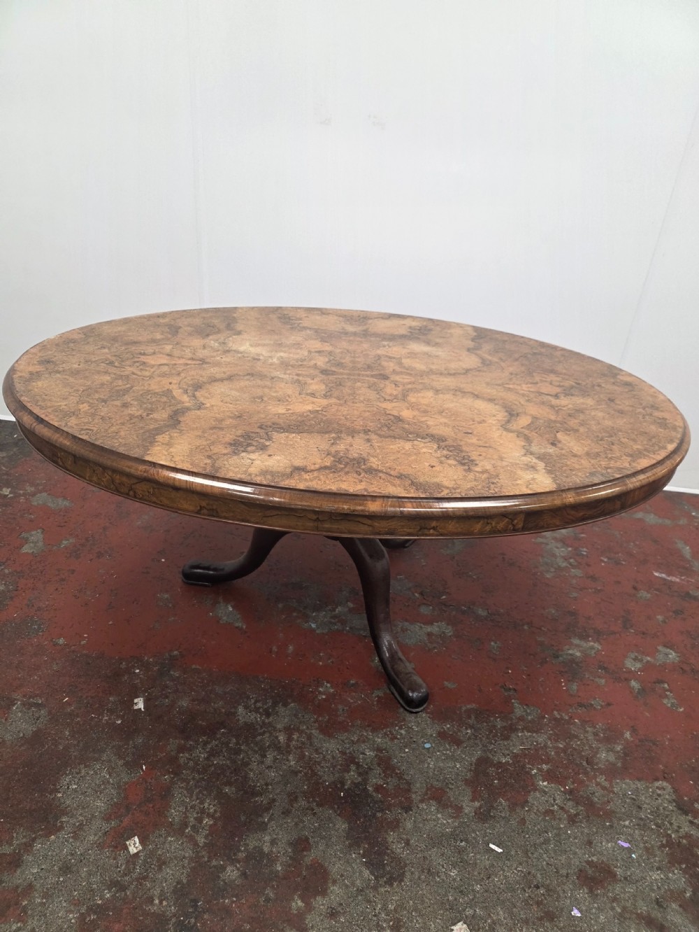victorian burr walnut topped coffee table in a modern cast iron tripod base